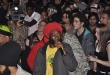 dan-man-iration-steppas